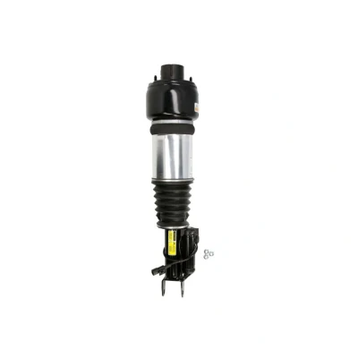 Immagine di Arnott AS 2245 Gamba elastica con ammortiz. pneumatico anteriore Sx MERCEDES BENZ: Classe E T modell, CLS Coupe, Sedan mister auto, norauto,