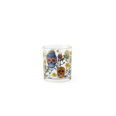 Immagine di Excelsa KTN 3 BIC.CALAVERA CL.25