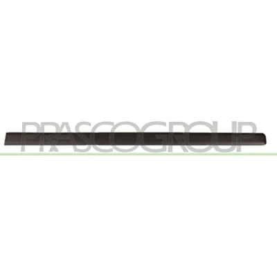 Immagine di PRASCO FT1221403 Modanatura FIAT: Panda II Hatchback