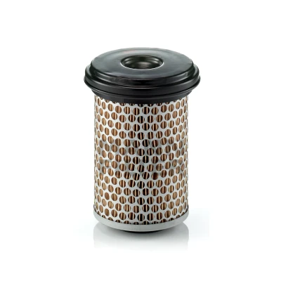 Immagine di MANN FILTER C 1157 filtro aria 173 105, 127 Cartuccia