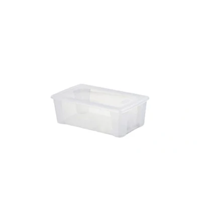 Immagine di Stefanplast Visualbox Scatola Multiuso M 32,5X19X11