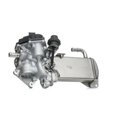 Immagine di DELPHI EG10584 12B1 Valvola EGR con radiatore Lato alta pressione AUDI: A4 B8 Avant, Q5, A6 C7 Avant