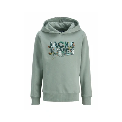 Immagine di Jack &amp; Jones Junior Jjgeplas HOOD Felpa con cappuccio per bambini, Taglia: 164, Iceberg green