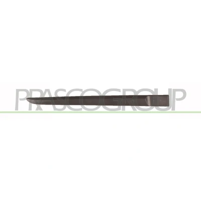 Immagine di PRASCO RN3251453 Modanatura RENAULT: CLIO 3