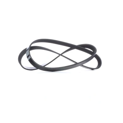 Immagine di FEBI BILSTEIN 28866 Cinghia Poly V 1230 5 EPDM (Etilene Propilene Diene Caucciù) OPEL: Agila A, Meriva Corsa D Hatchback