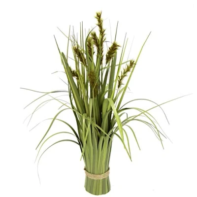 Immagine di Flair Flower Mazzo innevati, Fascio Coda di Volpe, rialzata, Riso, Fiori Artificiali, pianta Verde, Decorativa, Composizione Erba, setaria, Fuchsschwanzgras Grün