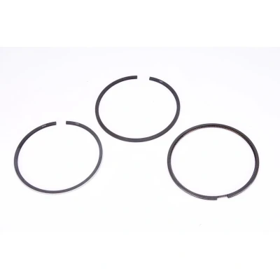 Immagine di GOETZE ENGINE 08 126000 00 Kit Fasce Elastiche 84 OPEL: Zafira A, Astra G Caravan, Sedan