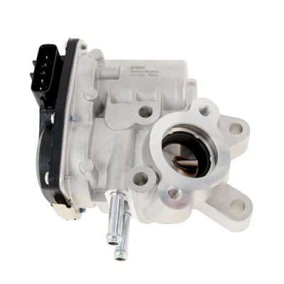 Immagine di DELPHI EG10536 12B1 Valvola EGR senza radiatore NISSAN: Cabstar, Pathfinder 3, NP300 Navara Pick up