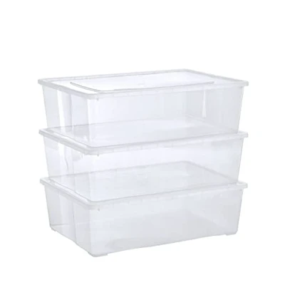 Immagine di Grizzly Scatole 3 x 25 L grandi con coperchio trasparente trasparenti impilabili ventilazione