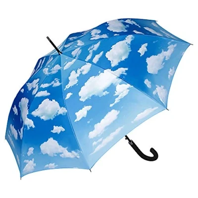 Immagine di VON LILIENFELD® Ombrello Cielo bavarese Pioggia Lungo Classico Automatico Leggero Stabile Colorato