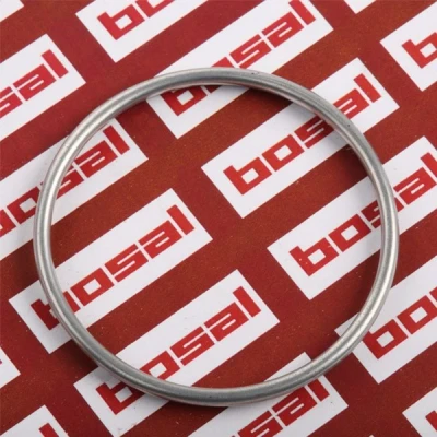 Immagine di Anello di tenuta, tubo scarico BOSAL 256 921