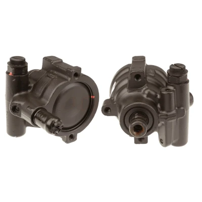 Immagine di TRW JPR910 Pompa Idroguida 100