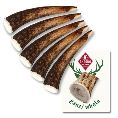Immagine di ChronoBalance® (M Set di 5) Corna Cervo per Cani (Pezzi Interi) Bastoncino da Masticare Naturale, Osso Cervo, Giocattolo Lunga Durata, Cura dei Denti, Sostenibile Sicuro, Snack Nutriente