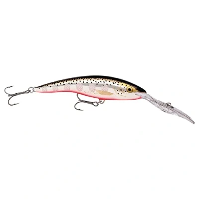 Immagine di Rapala Esca da Pesca Artificiale Spinning Deep Tail Dancer Finta di Simulazione in Legno Balsa per Acqua Dolce con Slap Prof. Nuoto 12m 13cm/42g Prodotta Estonia Silver Flash