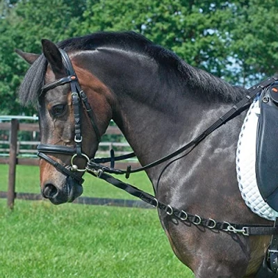 Immagine di Busse side rein Oesen Elastic