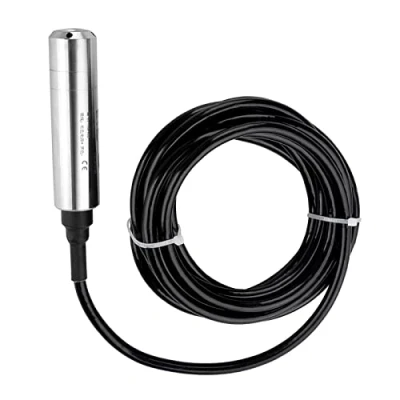 Immagine di Sensore di livello liquido DC24V 4 20mA tipo Throw in Trasmettitore ALS MPM 2F per il rilevamento del dell&#039;acqua con portata 0 5m