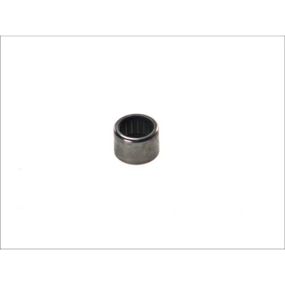 Immagine di SACHS 1863 869 006 Cuscinetto di guida, Frizione