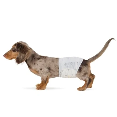 Immagine di Amazon Basics Pannolini usa e getta per cani maschi, Piccolo (confezione da 30), Bianco