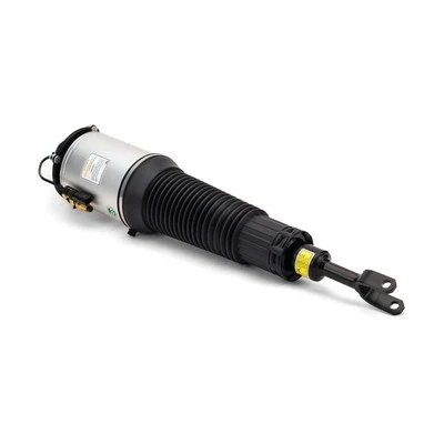 Immagine di Arnott AS 2892 Gamba elastica con ammortiz. pneumatico anteriore Dx