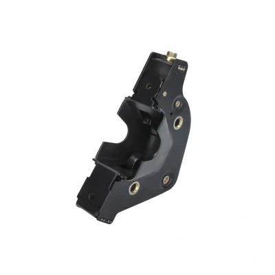 Immagine di DT Spare Parts 1.22486 Serratura posteriore SCANIA: P,G,R,T series