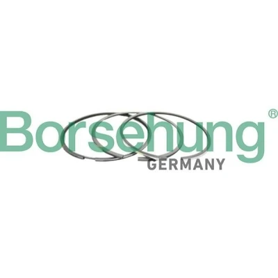 Immagine di Kit fasce elastiche Borsehung B10366