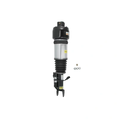Immagine di Arnott AS 2301 Gamba elastica con ammortiz. pneumatico anteriore Sx MERCEDES BENZ: Classe E T modell, CLS Coupe, Sedan mister auto, norauto,