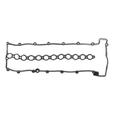 Immagine di REINZ 71 37402 00 Guarnizione Coperchio Punterie ACM (Poliacrilico Caucciù) BMW: 5 Sedan, Touring, 3 Coupe, LAND ROVER: Range Rover mister auto,