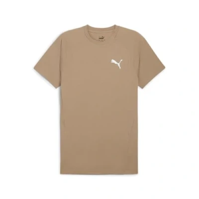 Immagine di Puma TEE Tshirt basic, Uomo, Taglia: Large, Oak branch