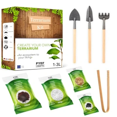Immagine di Terrarium Kit DIY per un Ecosistema Autosufficiente Vetro con Piante Giardino in Bottiglia (1 3) Micro Terrario Completo (M)