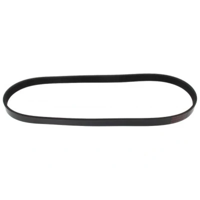 Immagine di MAPCO 250860 Cinghia Poly V 860 5 EPDM (Etilene Propilene Diene Caucciù) HONDA: CIVIC 8 Hatchback, 9, Jazz 3, VOLVO: V40 Hatchback
