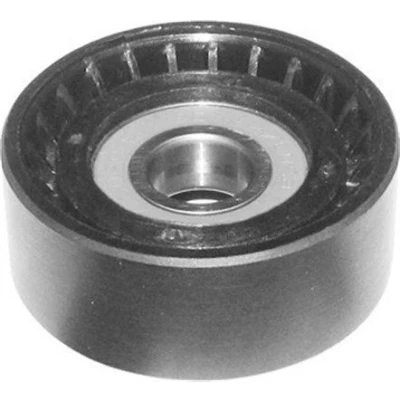 Immagine di MAGNETI MARELLI 331316170160 Rullo Tendicinghia FIAT: Grande Punto Hatchback, Panda II 500L, LANCIA: Ypsilon II, III