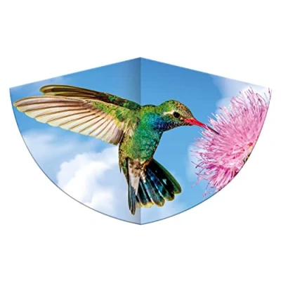 Immagine di Günther Flugspiele Paul 1178 Aquilone per bambini con motivo a colibrì, linea singola in robusto foil di PE scala regolabile, dai 4 anni, dimensioni circa 75 x 48 cm.