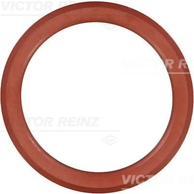 Immagine di REINZ 71 38552 00 Guarnizione Coperchio Punterie ACM (Poliacrilico Caucciù) CITROËN: C5 III Station Wagon, 3, II Wagon