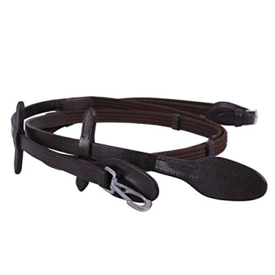 Immagine di QHP Web rein with clip