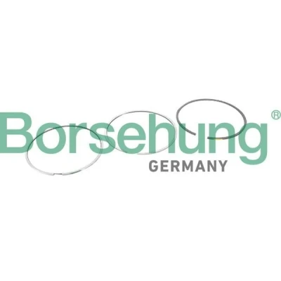 Immagine di Borsehung B10364 Kit Fasce Elastiche VOLKSWAGEN: GOLF 6, Transporter 5, Multivan 5 (7HM, AUDI: Q5, A4 B8 Avant