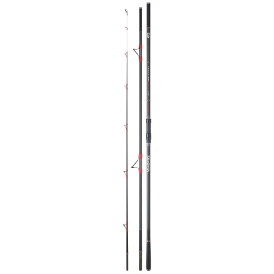 Immagine di Canna da spiaggia Daiwa Emblem surf Type R 33 453 Hybride casting