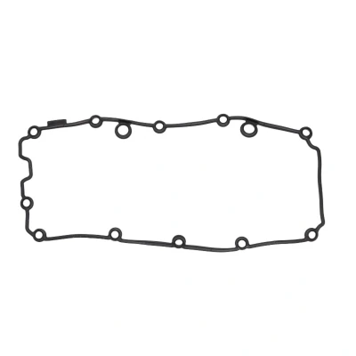 Immagine di REINZ 71 40483 00 Guarnizione Coperchio Punterie AUDI: Q7, A8 D3, D4, VOLKSWAGEN: Touareg II, PORSCHE: Cayenne
