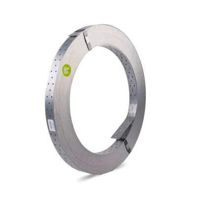 Immagine di Alberts 339036 Nastro forato, zincato con procedimento Sendzimir, 50 m, 40 x 2 mm