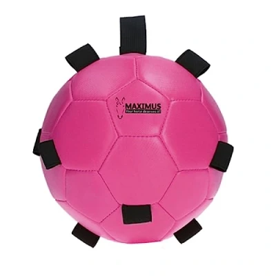 Immagine di Maximus Divertente palla da gioco blu 19 Rosa
