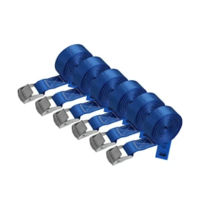 Immagine di Cinghia di fissaggio Cinghie tensione blu 2,5m 4m 6m diverse quantità, sicura del carico resistenza fino a 250 kg DIN EN 12195 2, 6 pezzi 2.5 cm x 4 m