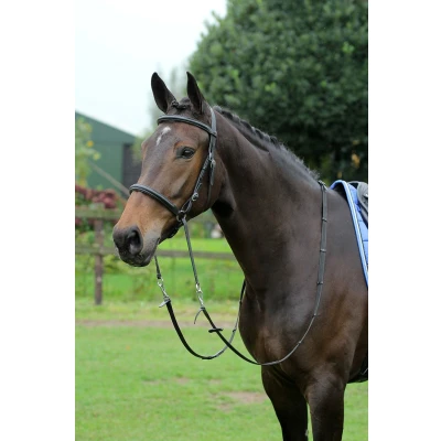 Immagine di Horka Bitless Bridle