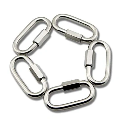 Immagine di Yasorn Confezione da 5 moschettoni M6/0,6 cm in acciaio inox a forma di D, con chiusura moschettone collegamento rapido fibbia per catena