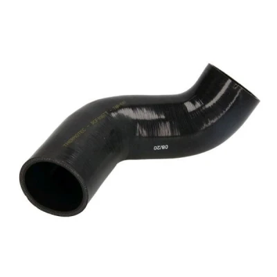 Immagine di THERMOTEC DCF036TT Tubo Radiatore inferiore FIAT: Stilo Hatchback, Multi Wagon