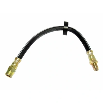 Immagine di DELPHI LH0214 Tubi Freno 288 M10x1 Int SF