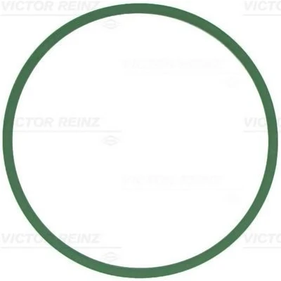 Immagine di REINZ 71 12439 00 Guarnizione Collettore Aspirazione FPM (Fluoro Caucciù) BMW: 1 Hatchback, 3 Touring, 2 Coupe