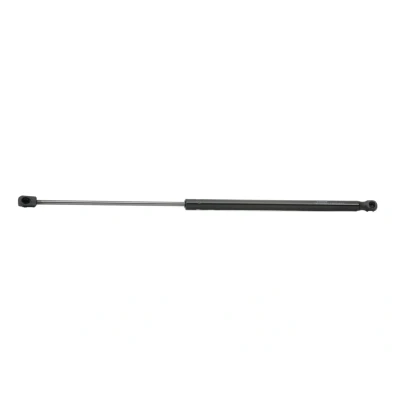 Immagine di RIDEX 219G0317 Pistoncini portellone 310 569 HYUNDAI: i30 I Hatchback, II Hatchback