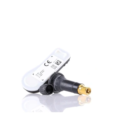 Immagine di SCHRADER 3041 Sensore ruota, Press. gonf. pneumatici Sistema controllo con bullone/vite RENAULT: Clio 4, Trafic 3 Bus, 3, OPEL: Vivaro B Combi