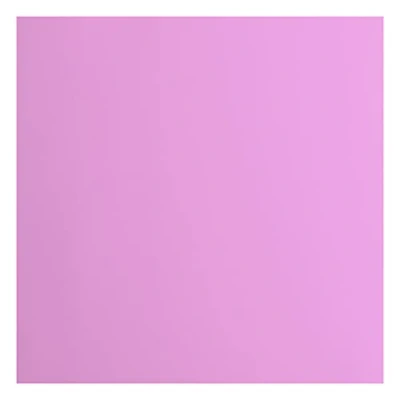 Immagine di Cartoncino Florence Liscia Materiali per Biglietti colorati 30,5 x cm Hydrangea 20 Fogli Carta Scrapbooking, Biglietti, Fustellatura e Progetti con 216 gsm Viola
