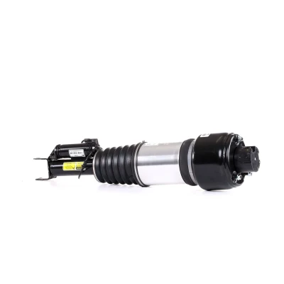 Immagine di Arnott AS 2246 Gamba elastica con ammortiz. pneumatico anteriore Dx MERCEDES BENZ: Classe E T modell, CLS Coupe, Sedan mister auto, norauto,