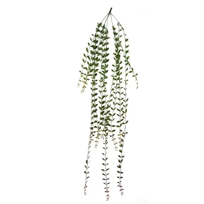 Immagine di Leaf Progettare piante appese artificiali